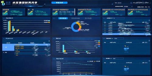 水发集团自主研发数据分析系统获软件著作权证书，引领行业数字化转型新篇章